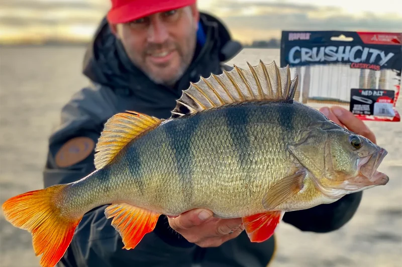 Rapala CrushCity Ned BLT