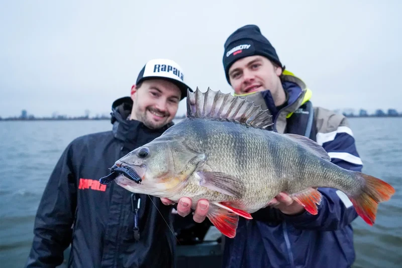 Rapala CrushCity Cleanup Craw