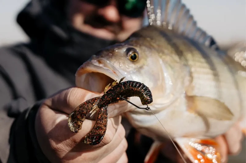 Rapala CrushCity Cleanup Craw