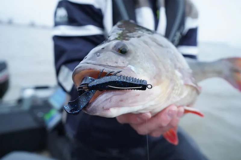 Rapala CrushCity Cleanup Craw