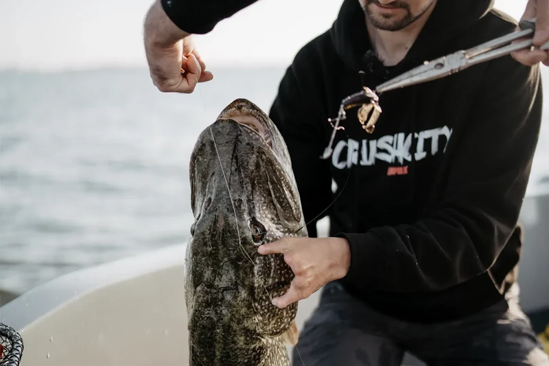 Rapala CrushCity Cleanup Craw
