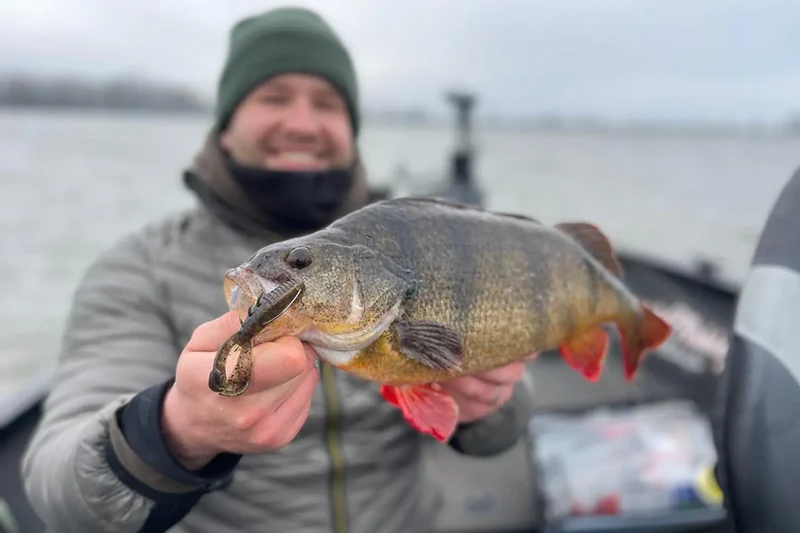 Rapala CrushCity Cleanup Craw