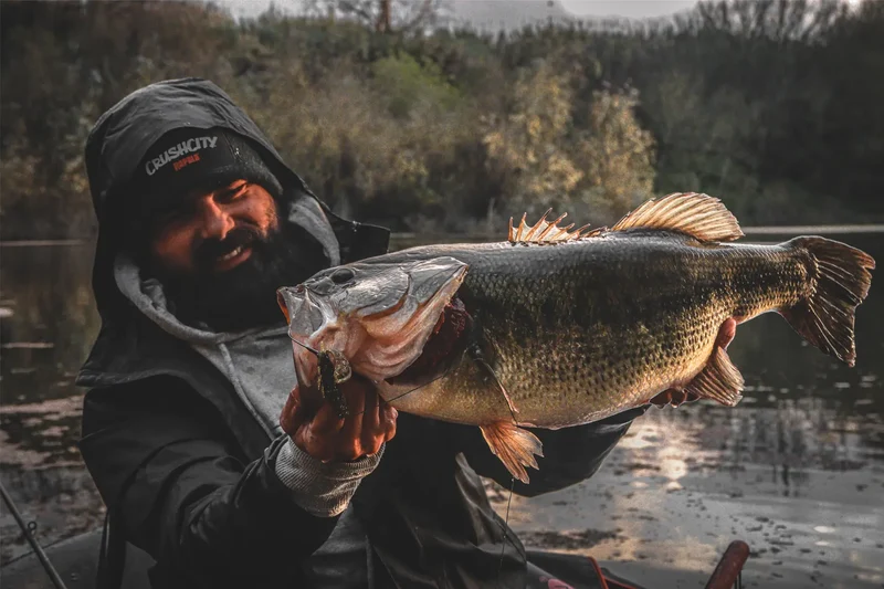 Rapala CrushCity Cleanup Craw