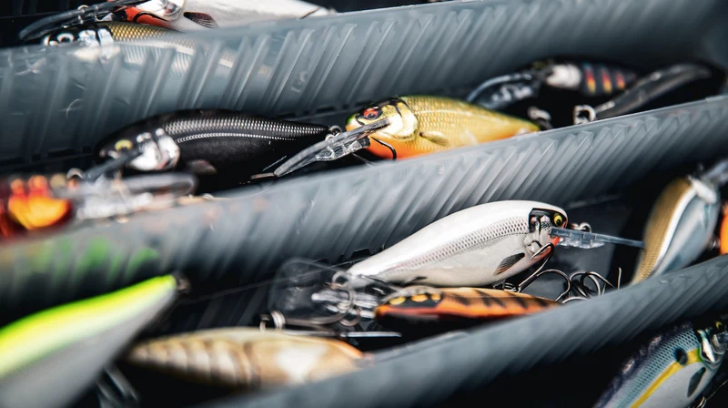 Rapala Shad Rap Elite 75