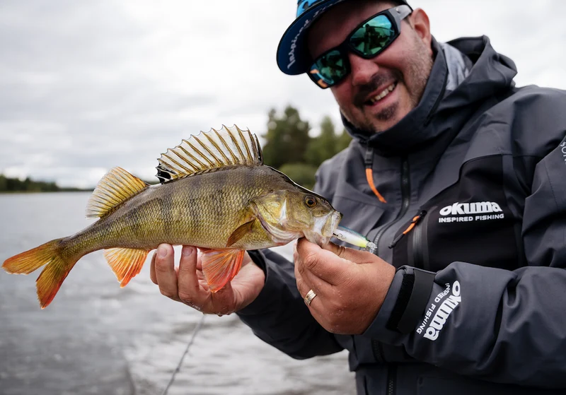 Rapala Shad Rap Elite 75