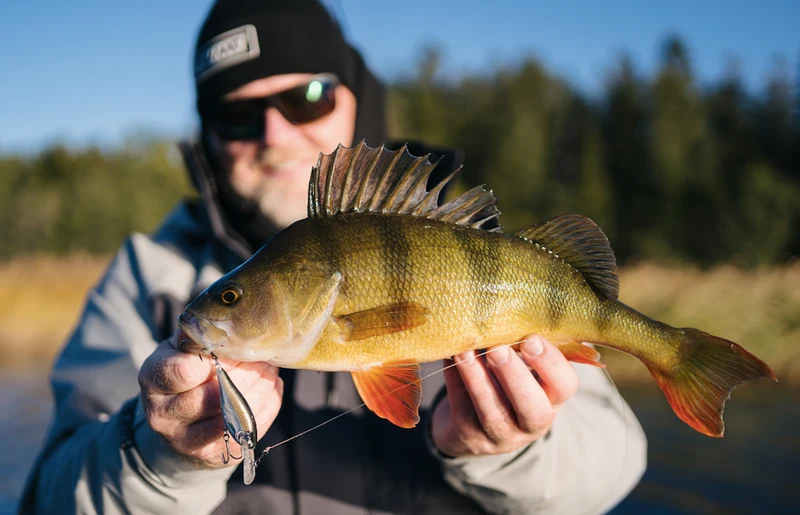 Rapala Shad Rap Elite 55
