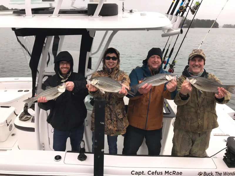 Striper Fishing Gift Certificate