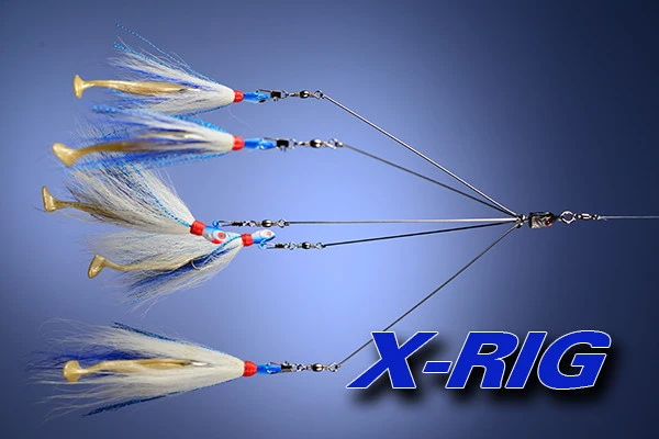 Project X X-Rig