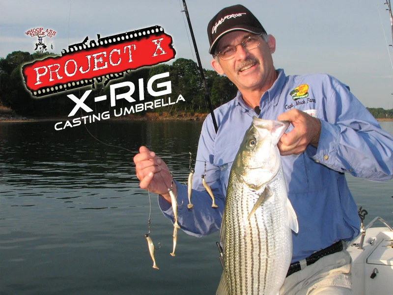 Project X X-Rig