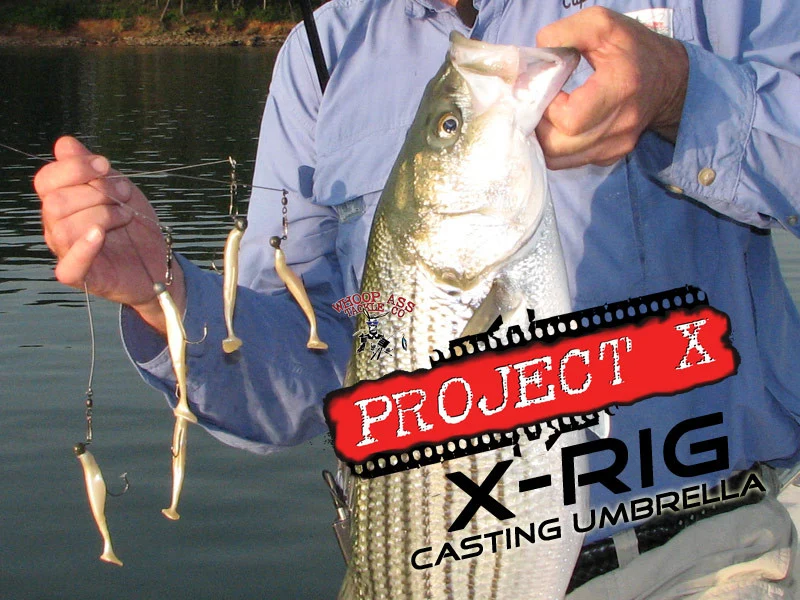 Project X X-Rig