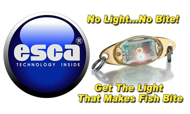 ESCA Lure Light