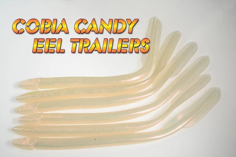 Cobia Candy Eels