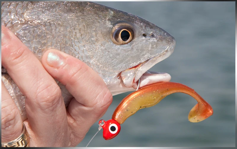 Project X Saucertail Swimbait 3"