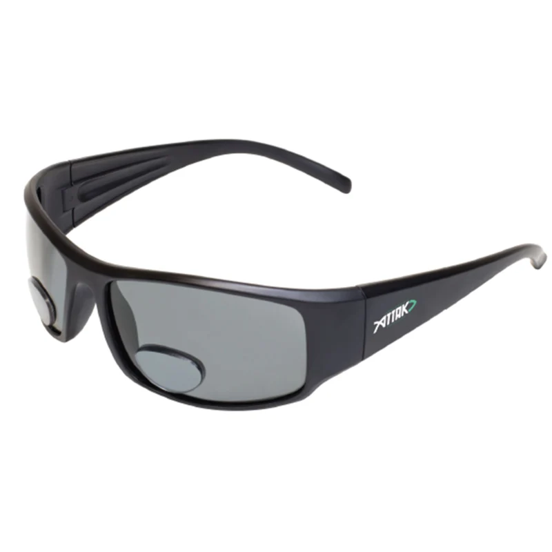Lunettes polarisées bifocales (+2,00)