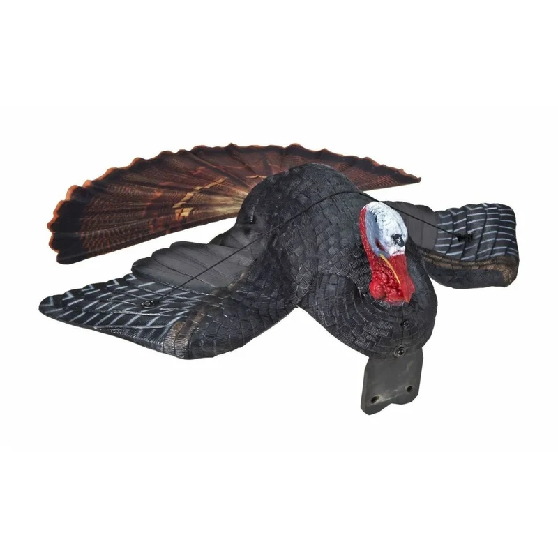 Appelant dindon blessé "Dirty bird"
