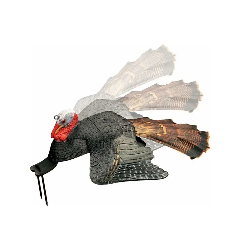 Appelant dindon blessé "Dirty bird"