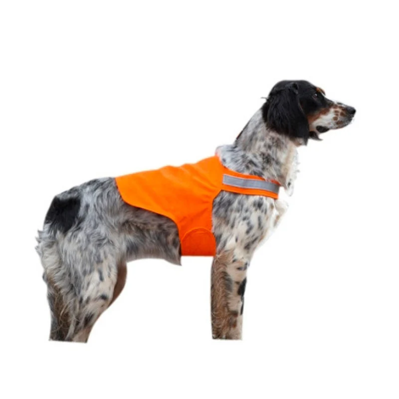 Dossard pour chien