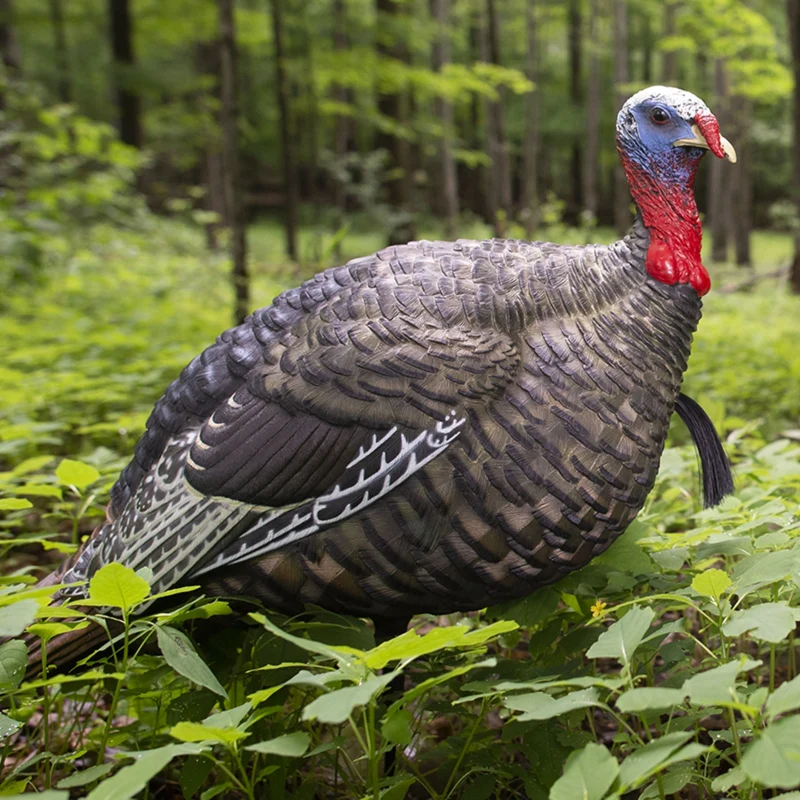 Appelant "LCD Quarter Strut Jake Decoy"