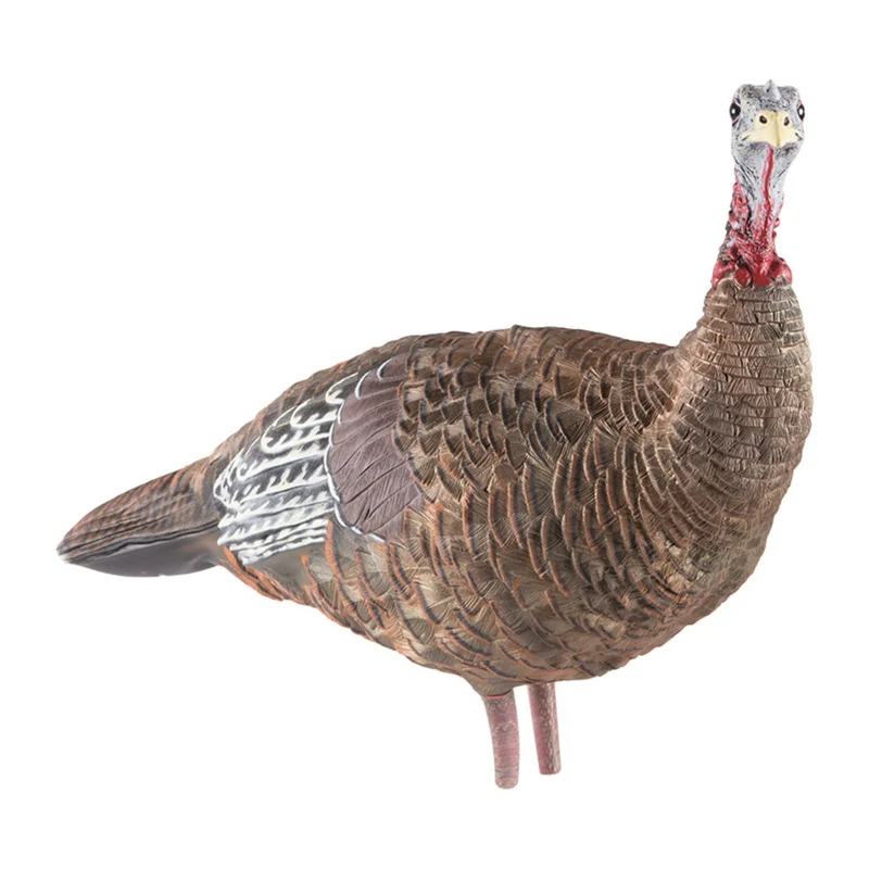 Appelant "LCD Lookout Hen"