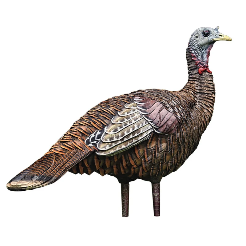 Appelant "LCD Lookout Hen"