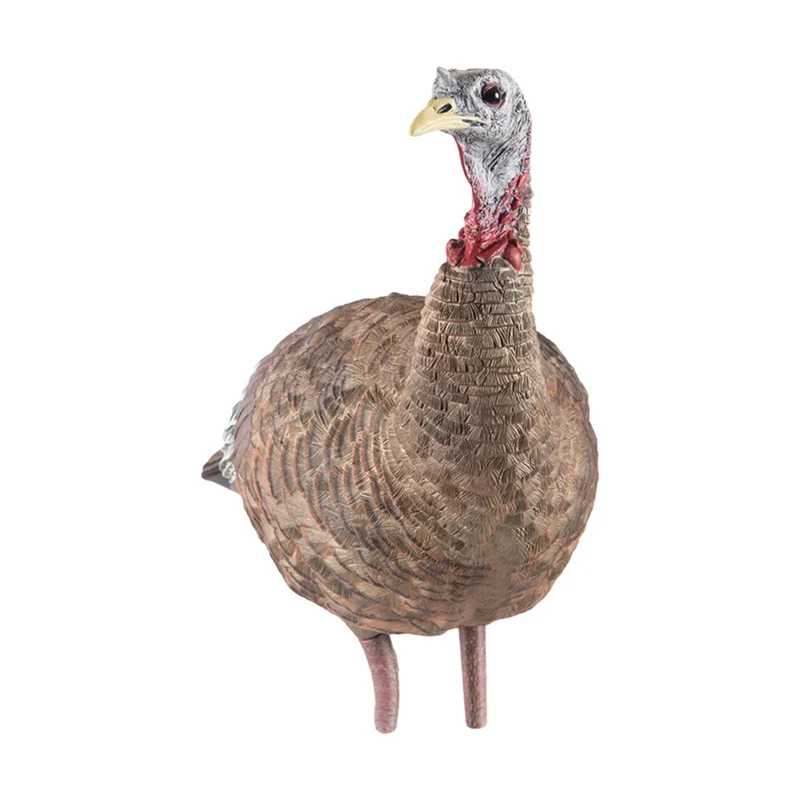 Appelant "LCD Lookout Hen"