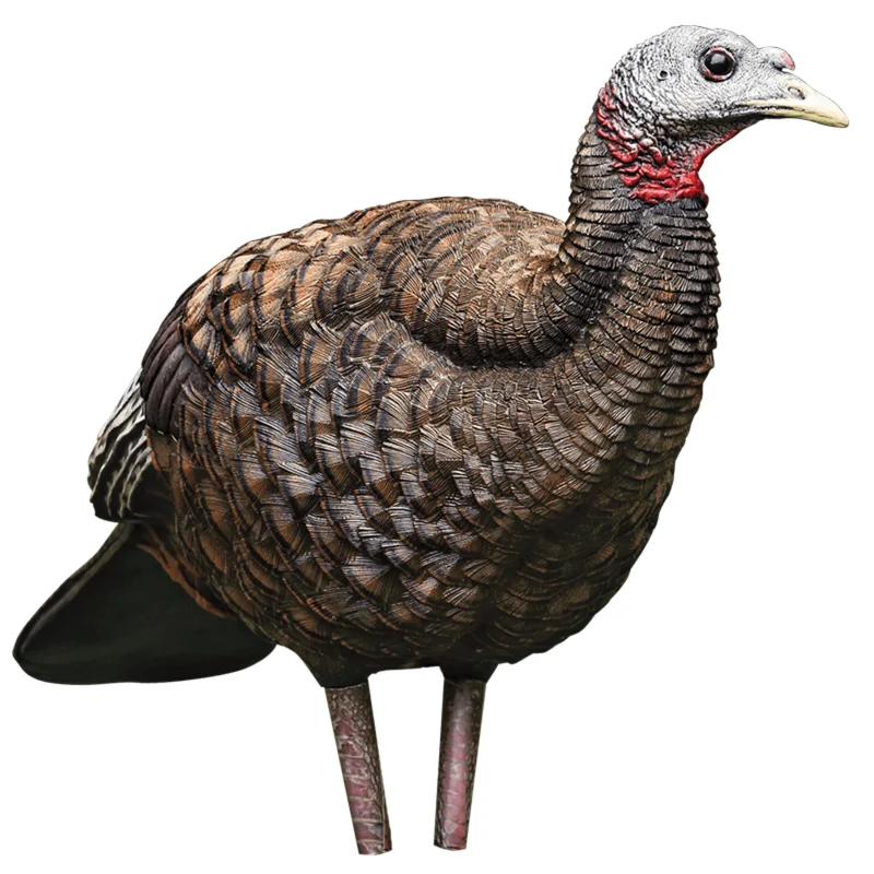 Appelant "LCD Breeder Hen"