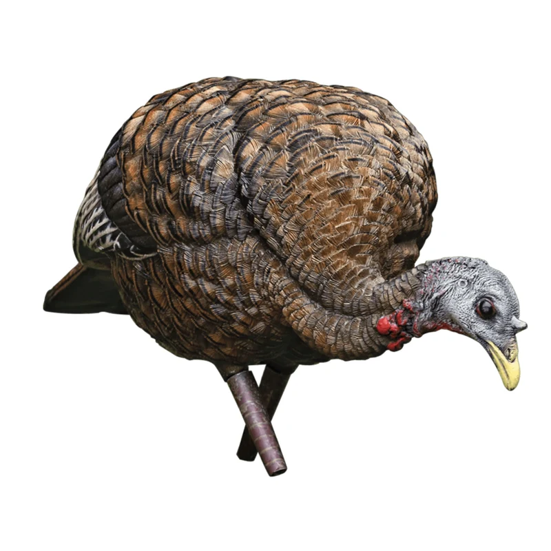 Appelant "LCD Feeder Hen"