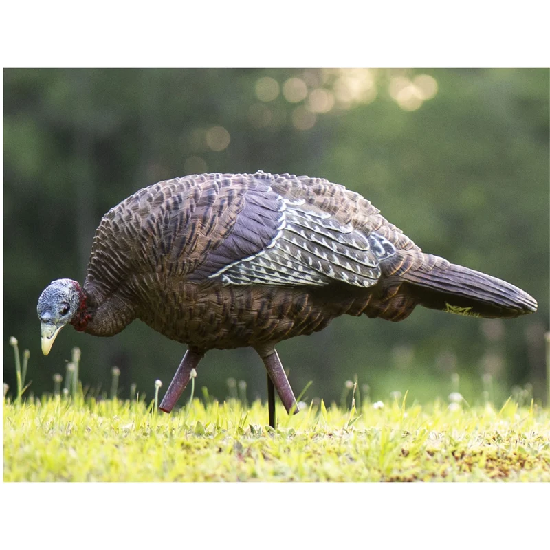 Appelant "LCD Feeder Hen"