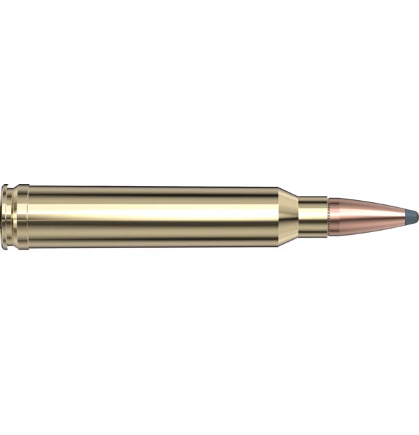 Munitions « Custom International SP » – cal. 300 WIN – 180 gr – 20/bte