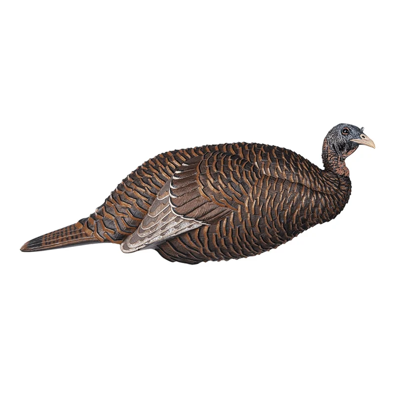 Appelant "Thunder chick breeder"