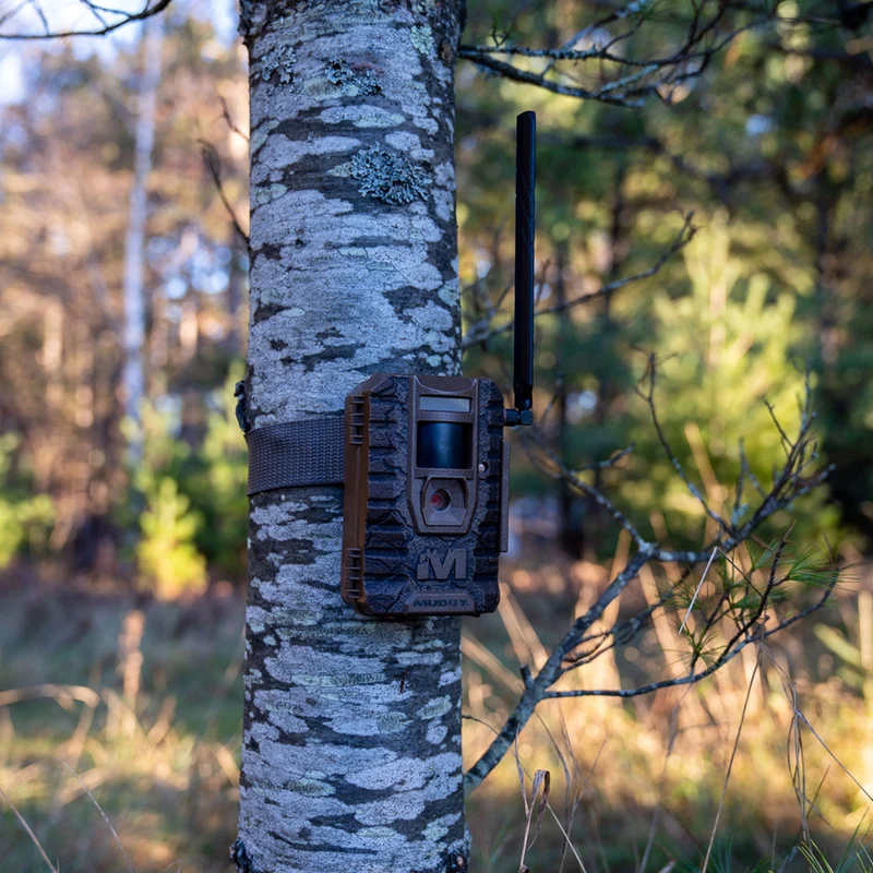 Caméra cellulaire "Mitigator 2.0"