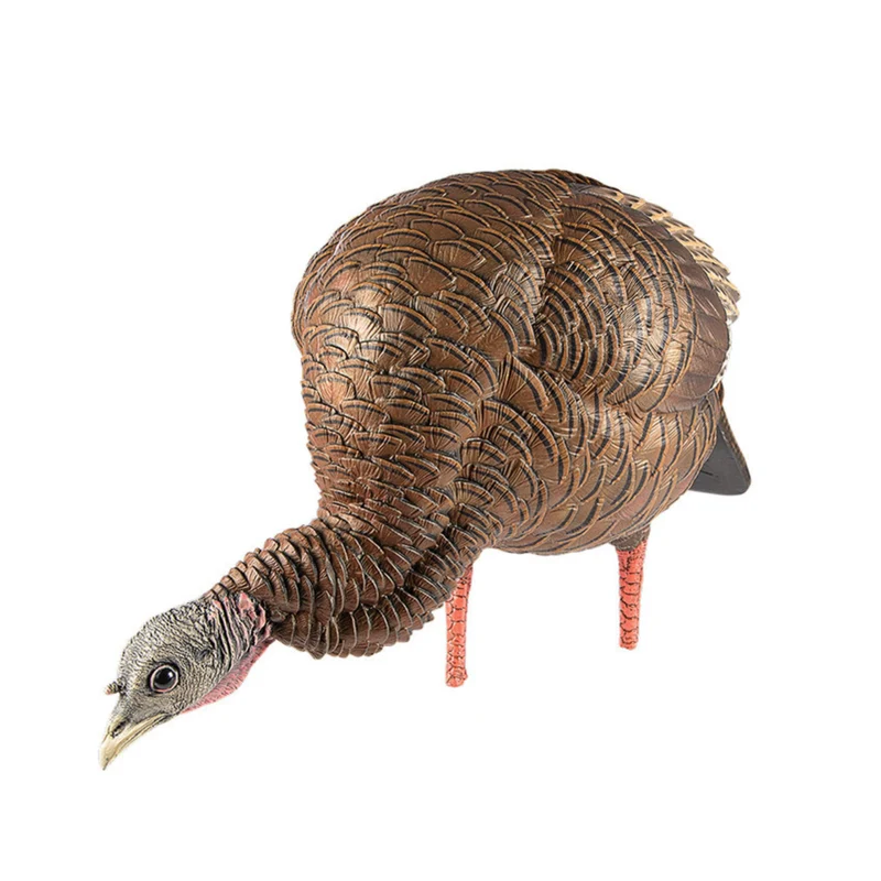 Appelant "HDR Feeding Hen"