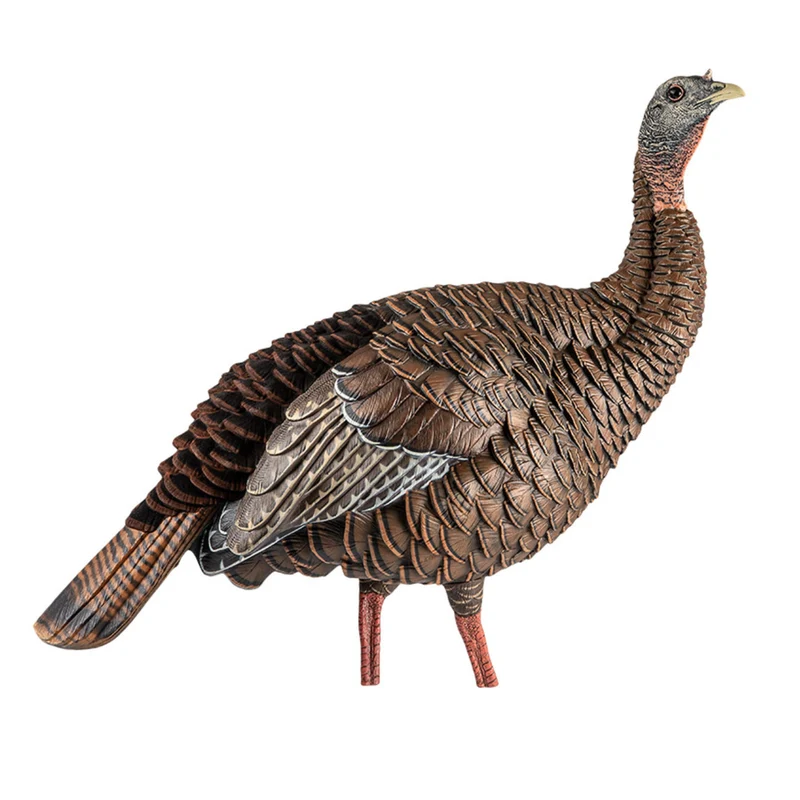 Appelant "HDR Hen"