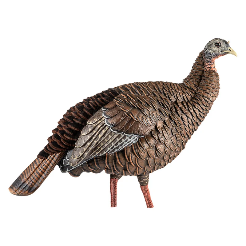 Appelant "HDR Hen"