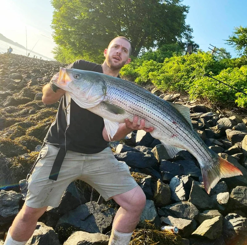 Bomb - Samson Lures