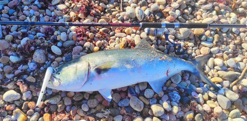 Bomb - Samson Lures