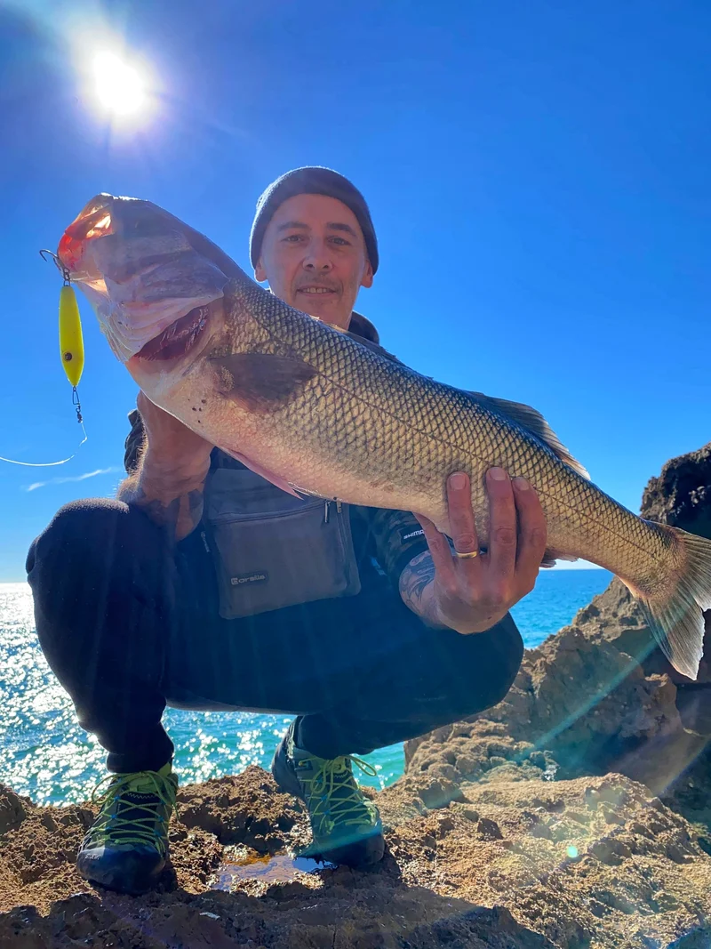 Enticer Minnow - Samson Lures
