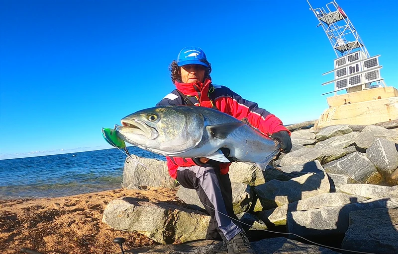 Enticer Minnow - Samson Lures