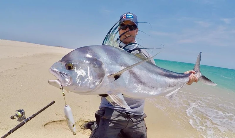 Fat Minnow - Samson Lures