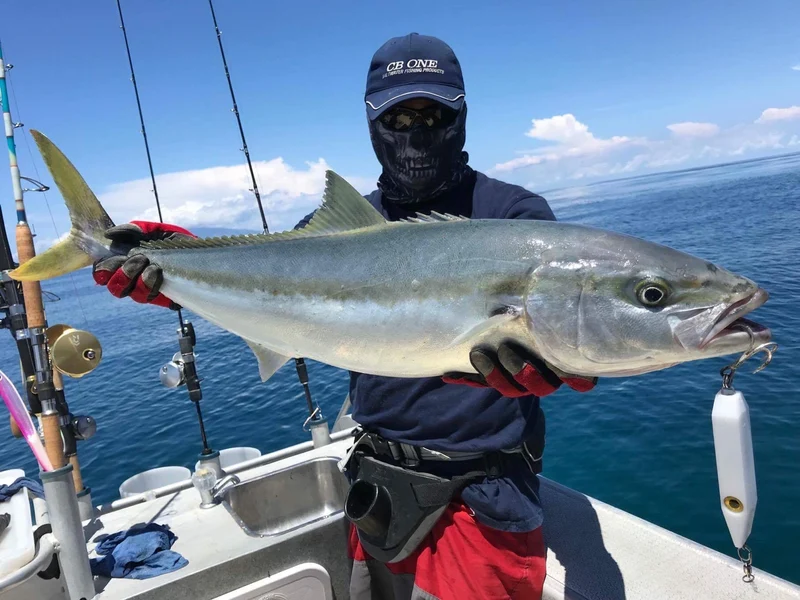 Fat Minnow - Samson Lures