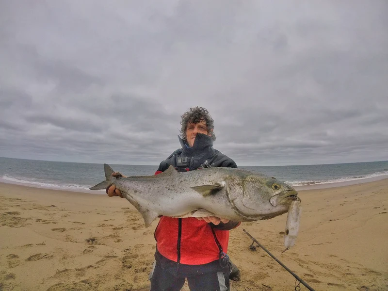 Fat Minnow - Samson Lures