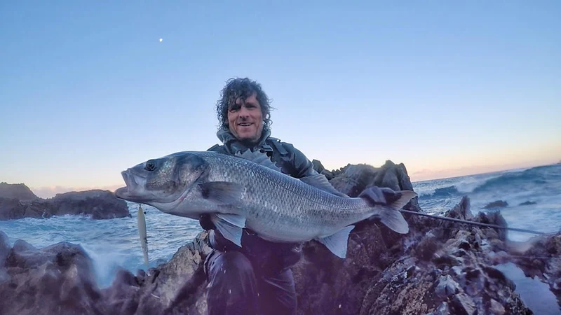 Stealth Glide - Samson Lures