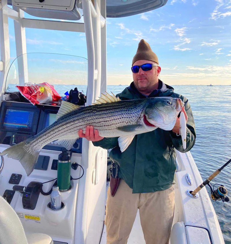 Stealth Glide - Samson Lures