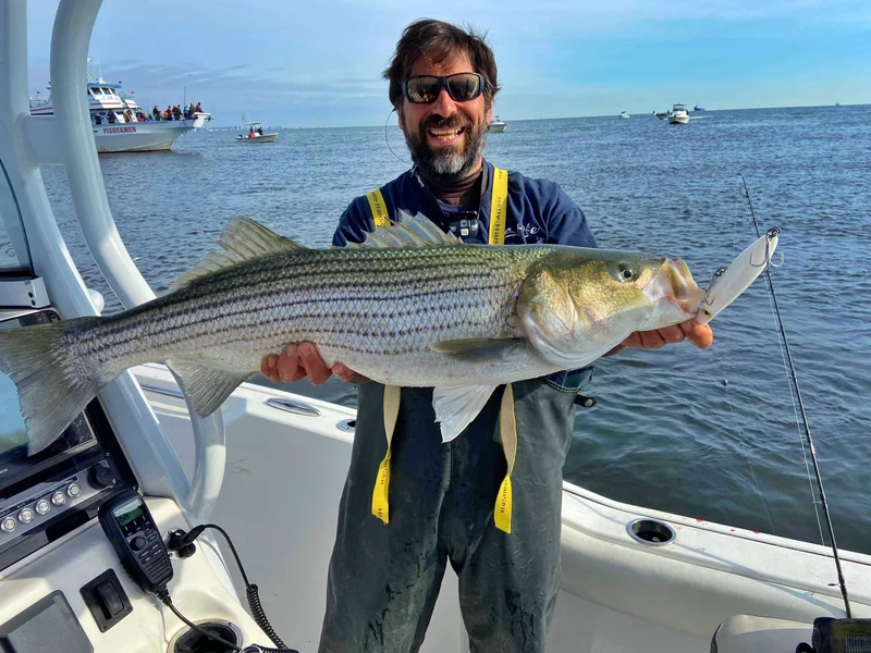 Stealth Glide - Samson Lures