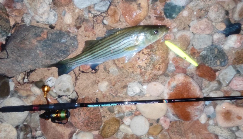 Stealth Glide - Samson Lures