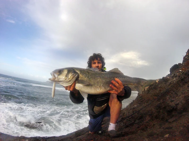 Tweak Bait - Medium Sink (Sub Surface) Samson Lures