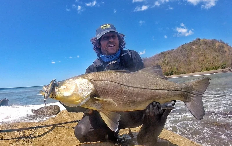 Tweak Bait - Medium Sink (Sub Surface) Samson Lures
