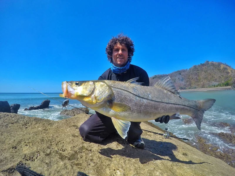 Tweak Bait - Medium Sink (Sub Surface) Samson Lures