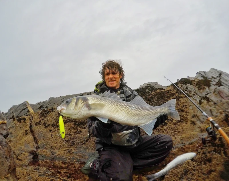 Tweak Bait - Fast Sink (Sub Surface) Samson Lures
