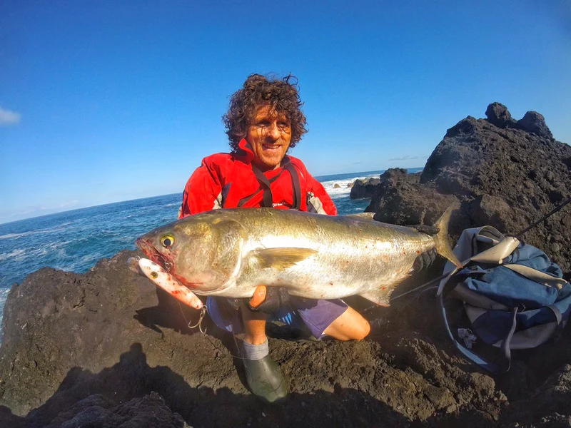 Tweak Bait - Fast Sink (Sub Surface) Samson Lures